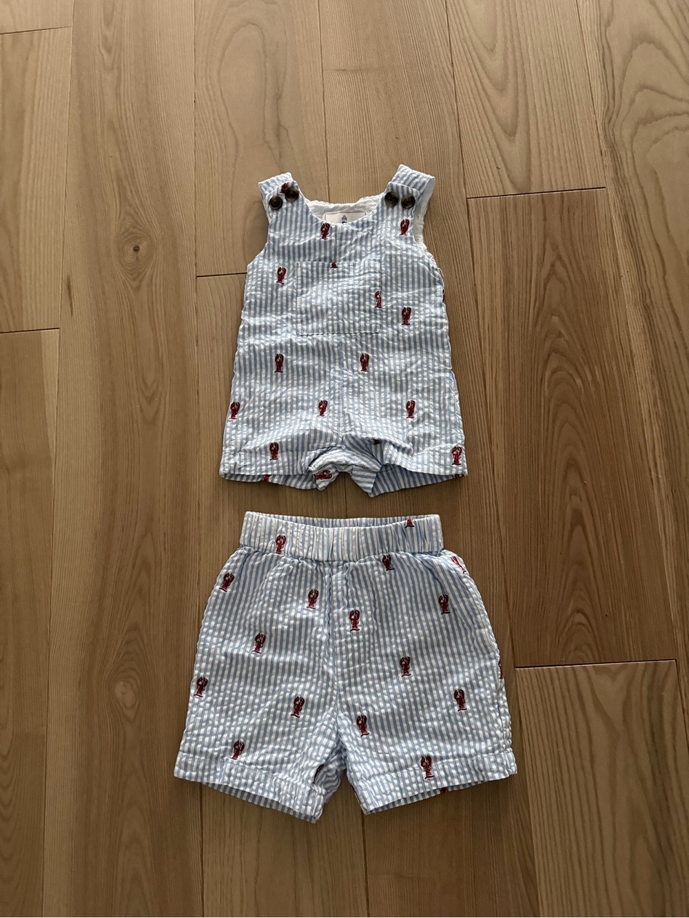 Classic Prep Blue and White Striped Set with Red Lobster Motif